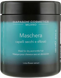 DCM Μάσκα Μαλλιών 1000ml