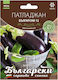 Eggplant Seeds Bulgarian 12 B