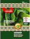 Spinach Giant Seeds Bulgarian Seeds