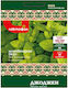 Mint Seeds