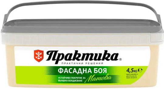 Фасадна Боя Папая 4.5 Кг Praktika