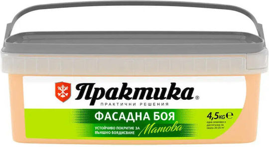 Facade Paint Mandarin 4.5 Kg Praktika