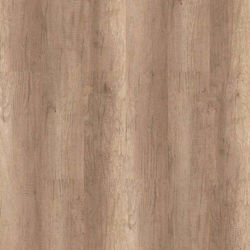 Laminated Flooring Kastamonu Oak Alaska Fc066 8.00 Mm 32/ac4