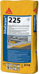 Tile Adhesive C2te S1 Sika Ceram-225