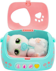 Paws Kätzchen Baby Paws