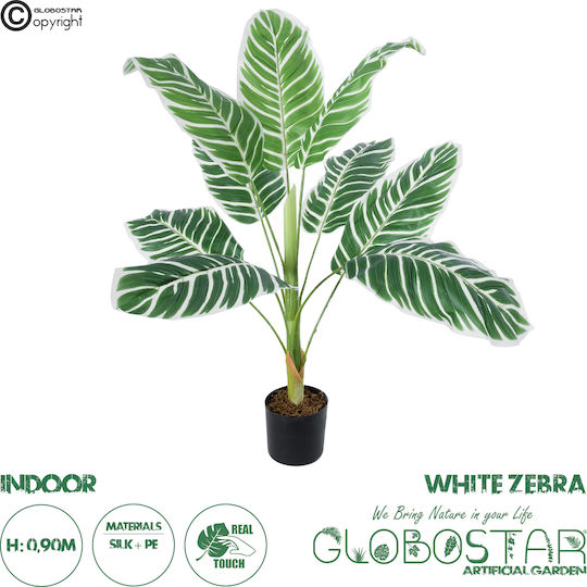 Künstlicher Dekorative Pflanzen Weiß Zebra Pflanze Τεχneitο Διακοσμητικό Φυτό Λευκή Ζέβρα Höhe 90cm X Υ90cm Künstlicher Dekorative Pflanzen Weiß Zebra Pflanze Τεχneitο Διακοσμητικό Φυτό Λευκή Ζέβρα Höhe 90cm X Υ90cm