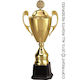 Victoria Sport Gold Sports Trophy