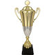 Victoria Sport Gold Sports Trophy