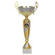 Tryumf Gold Sports Trophy