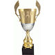 Tryumf Gray Sports Trophy