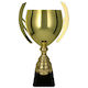 Victoria Sport Gold Trophäe Batika Sportpreise