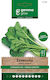 Liscia Verde Biologischer Schmalblatt Saatgut