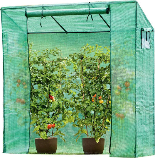 Θερμοκήπιο Ντομάτες Αγγούρια Saska Garden 200x77x168-150cm Pe Πράσινο
