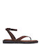 Women's Sandals Brown