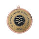 Tryumf Gold Sports Medal