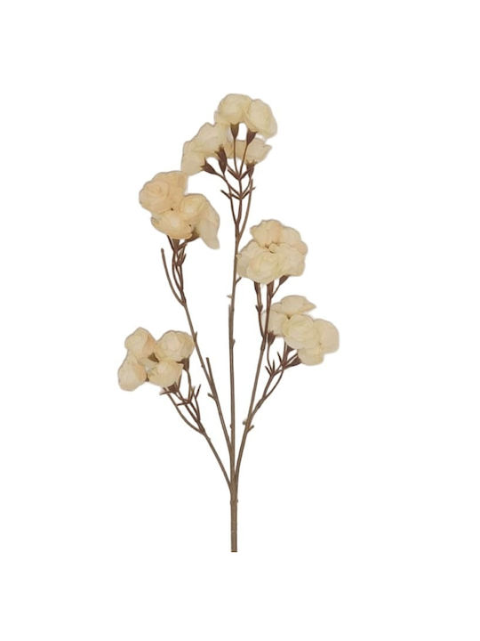 Art et Lumiere Zweigstelle Blumen Ivoire