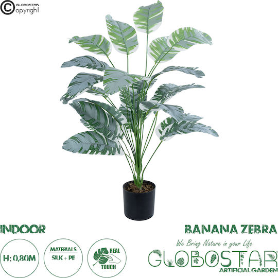 Künstlicher Garten Musa Zebra Pflanze Dekorative Pflanze Musa Zebra F78 X H80cm