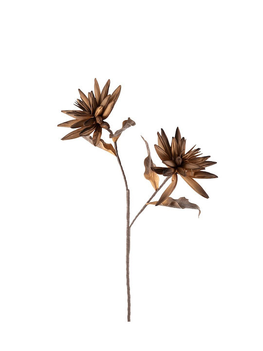 Λουλουδι Καφε Λονγχες 75εκ