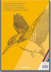 Aurora Drawing Pad A4 20 Sheets 120g/m² Aurora Raphael Assorted Color Paper Aurora Drawing Pad A4 20 Sheets 120g/m² Aurora Raphael Assorted Color Paper