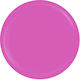 Sensopro Milano Expert Line Uv Colored Gel Orch...