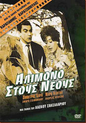 Αλιμονο Στους Νεους Dvd
