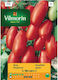 Vilmorin Tomate Samen Marzano