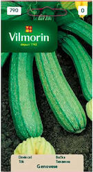 Vilmorin Pumpkin Seeds