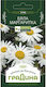 Gänseblümchen Samen Weiß