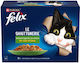 Felix Wet Food for Cats with Beef and Chicken 10x85gr
