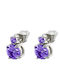 Loisir Earrings Steel with Purple Stones