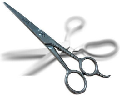 Razor Edge Haircutting Scissors Colour Silver Length 6"