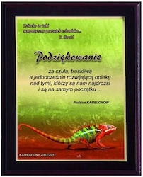 Plastic Diploma Color Touch Laminate
