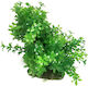 Aqua Natura Plant Aquarium Decoration Green Plastic 12-18 Cm Dense Small Leaves