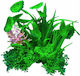 Aqua Natura Plant Decorațiune Acvariu Plantă Artificială Verde cu Accente Roz Plastic 12 Cm Frunze Rotunde Plate