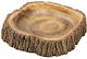 Terra Natura Terrarium Decoration Wood Imitation Bowl 15 Cm