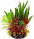 Aqua Natura Plant Decorațiune Pentru Acvariu Plantă Artificială Plastică Burgund-verde 18 Cm Mix De Plante