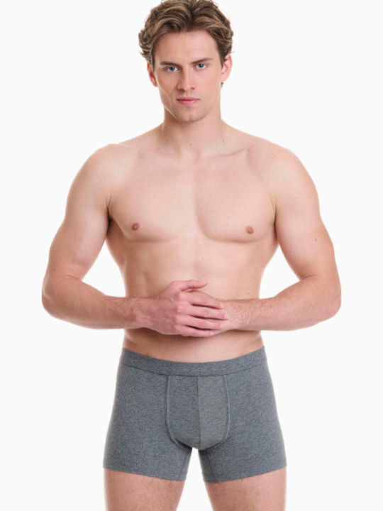 Walk Herren Boxershorts Grau 2er Pack
