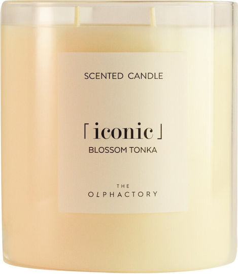 Blossom Tonka Herbal Aromatic Candle With Lid 790gr Iconic Olphactory