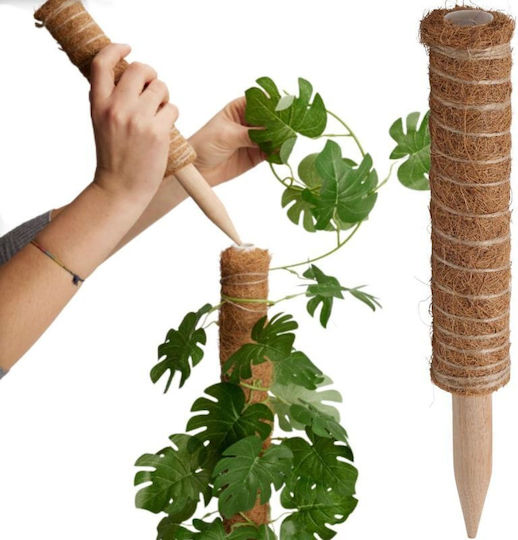 Progarden Plant Stakes 30cm From Wood
