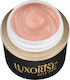 Uv Gel Nail Construction Jellyflex Luxorise Bei...