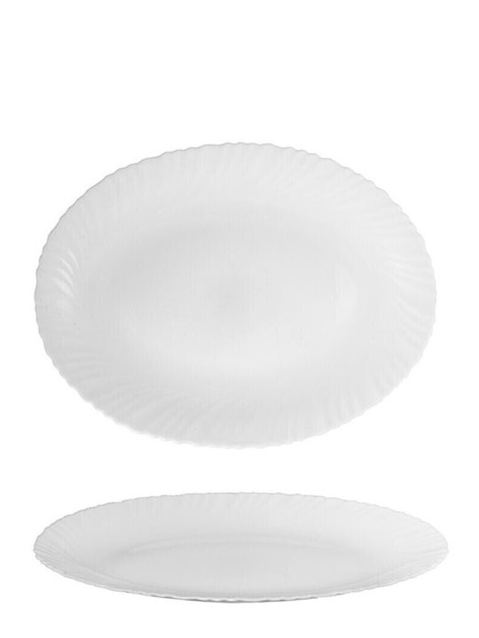 Cok Spain Titan Serving Plate Shallow Oval 20x15.5cm