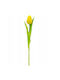 Yellow Tulip 31cm Saska Garden