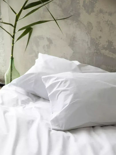 Sheet 100% Cotton 144 T.c White Single 160x260