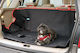 Streetwize Waterproof Dog Car Trunk Cover