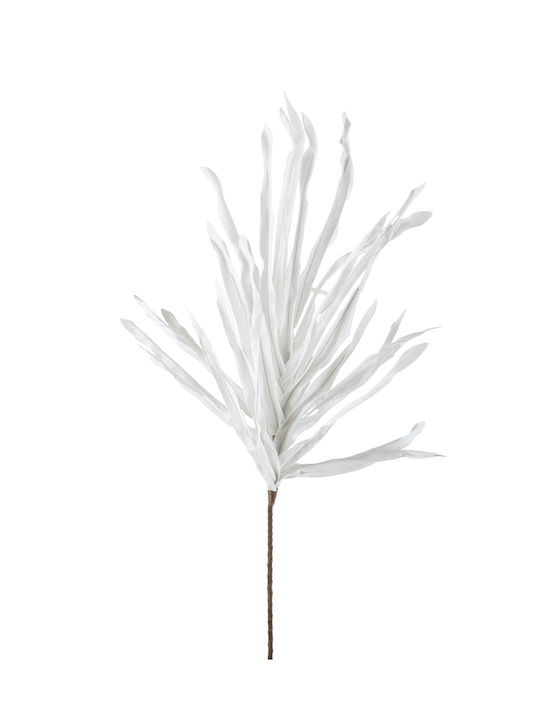 Prășină Albă 82 cm