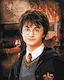 Картина По Номера Harry Potter 40x50см