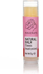 Lip Balm Lip Balm