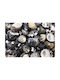 Atmosphera Atmosphera Tischdekoration Muscheln