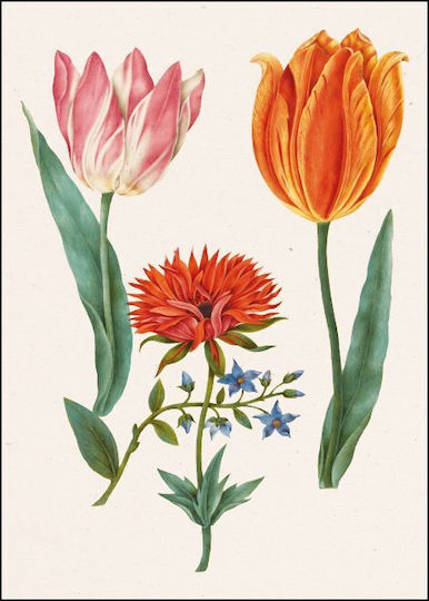 Ευχετήρια Κάρτα Φάκελο Bekking & Blitz Two 'broken' Tulips An Anemone