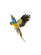 Decorative Parrot Open Wings Blue-Yellow 56x53cm 157.003.0107.16